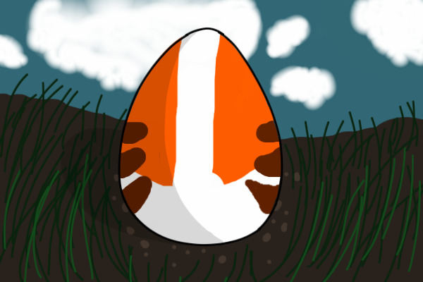 Amaize's egg