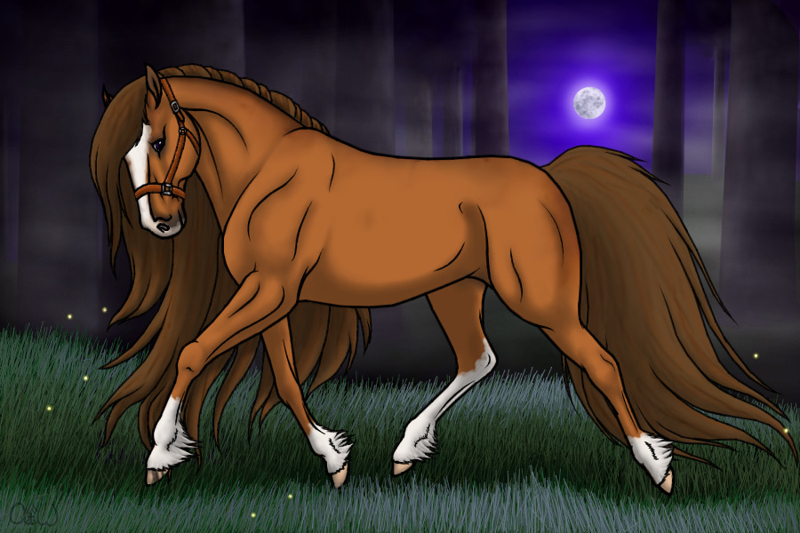 ~❊~ #48 Midnight Stallions ~❊~