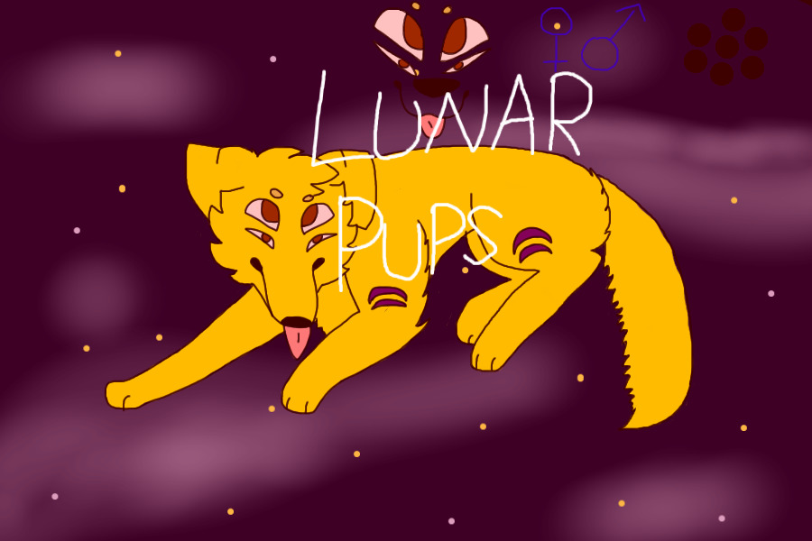 Lunar pups