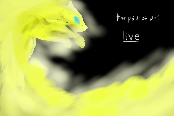 the l i g h t  in the d a r k n e s s