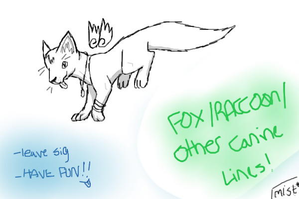 Raccoon Lines!