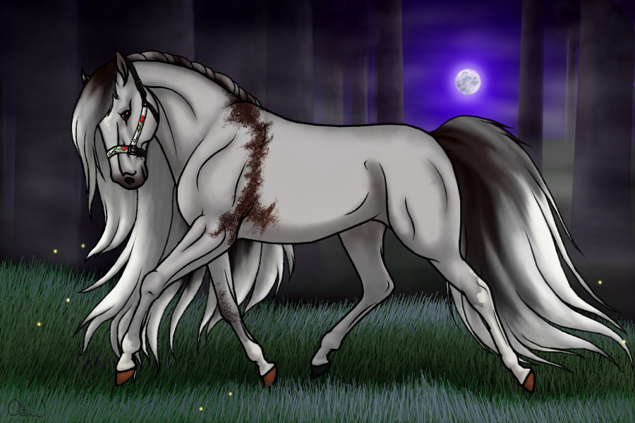 ~❊~ #52 Midnight Stallions ~❊~