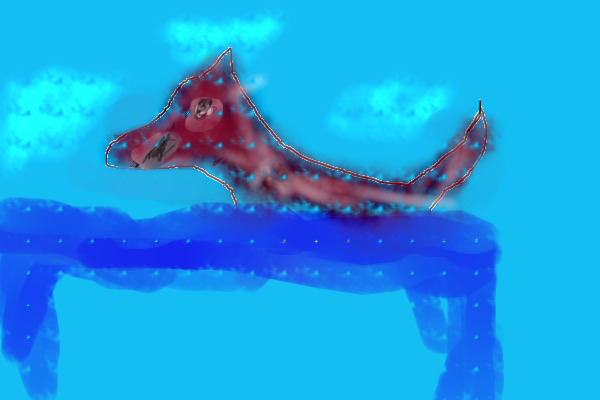 My first one..... A Dog wading in the water.