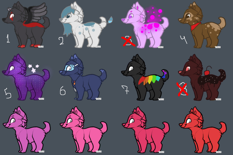 Adoptables Dogs! ♥