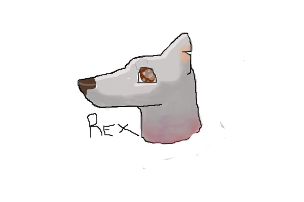 Hello I'm Rex
