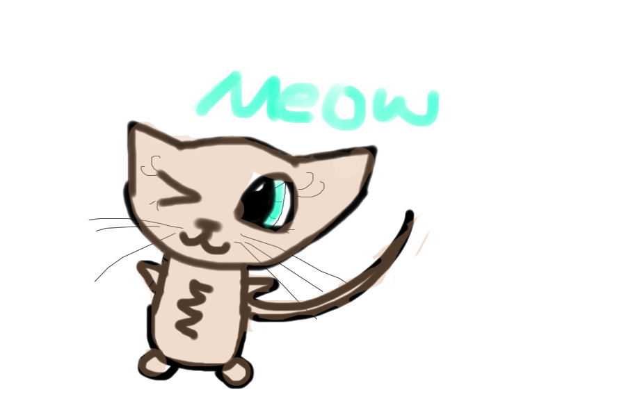 Meow ❤️