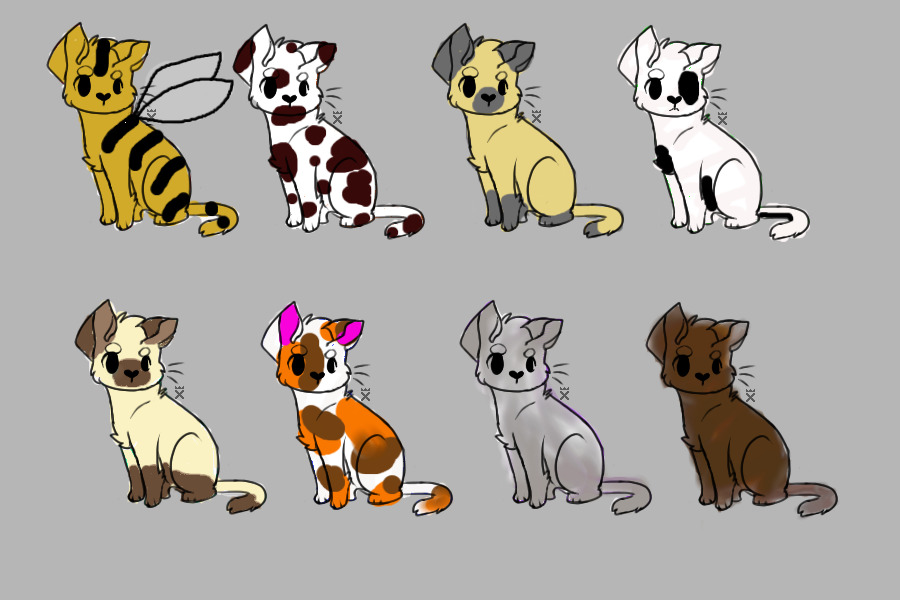 8 kitty adopts!