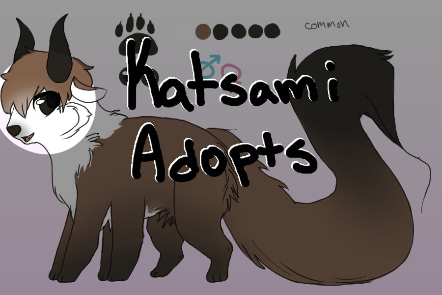Katsami Adopts (new, adopts up, main thread wip!)