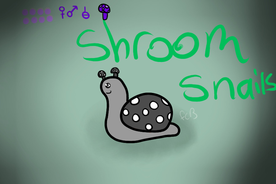 Shroom Snails