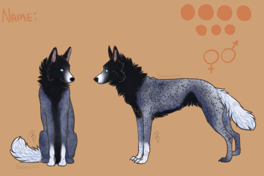 Blue/Gray Wolf/Dog Entry