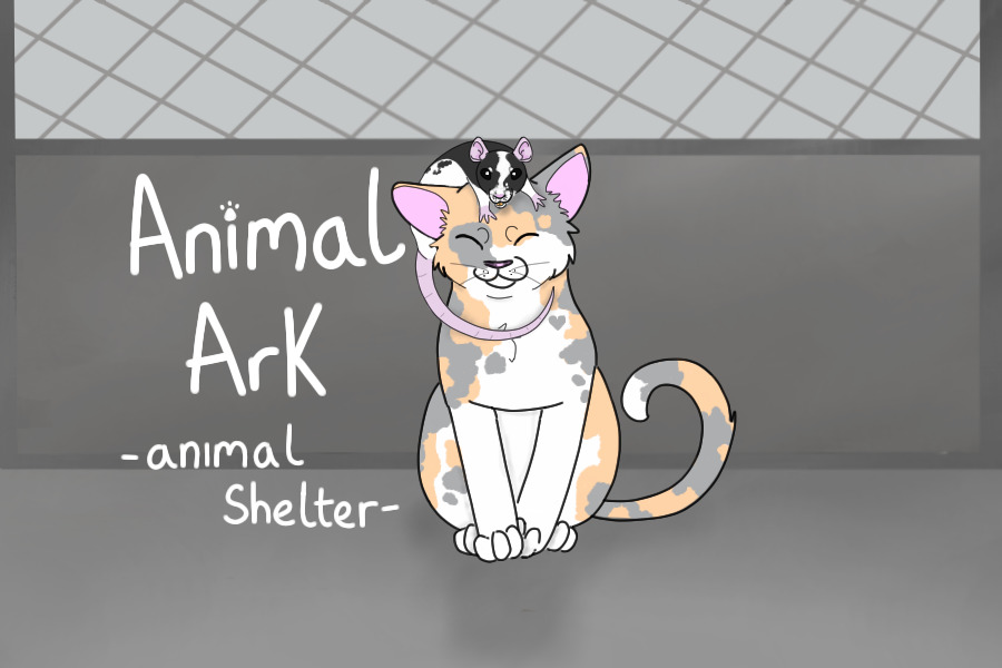 Animal Ark - animal shelter