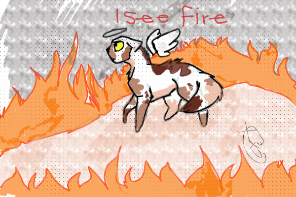 Spottedleaf's warning : I see fire