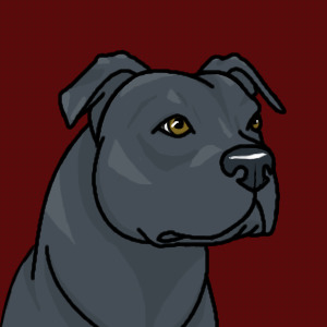 Pit bull avatar