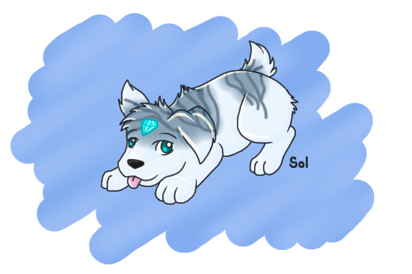 Puppy for ola232