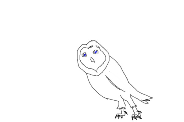 Blue-Eyed Owl