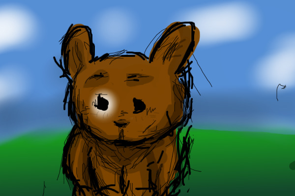 Bunny