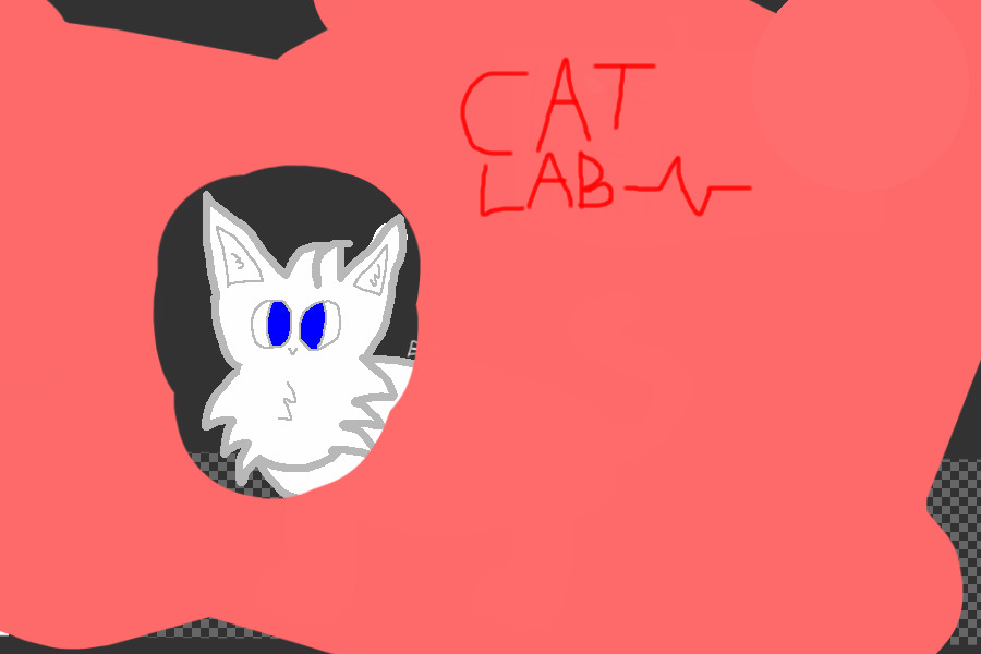 The Cat Lab (Under Construction!)