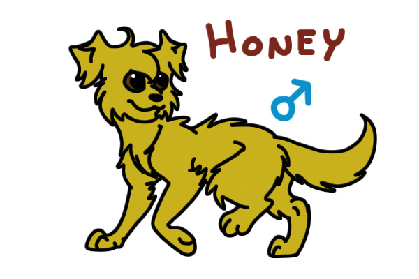 Honey
