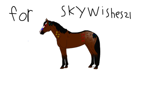 For SkyWishes21