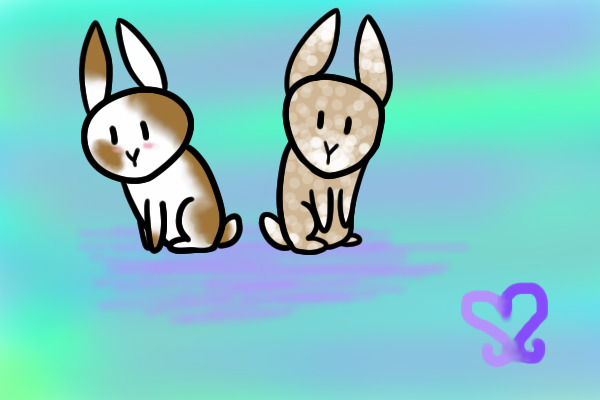 Bunny edit