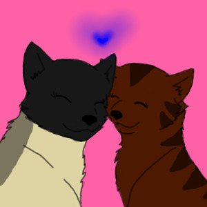 Pinepool x Barkstripe