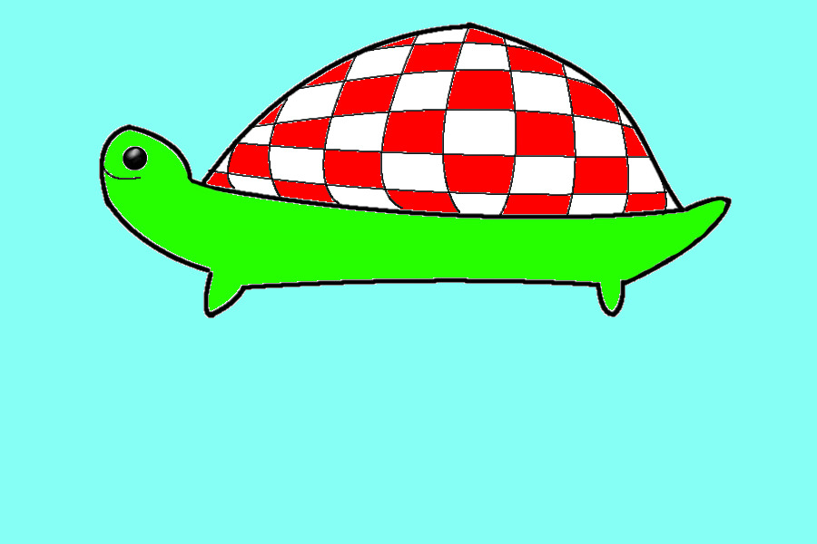 Picnic turtle
