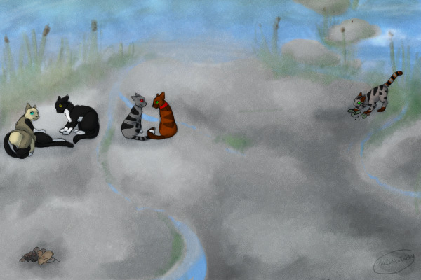 My RainClan Cats