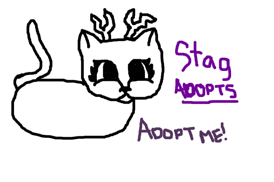 Stag Adopts is now Opening!