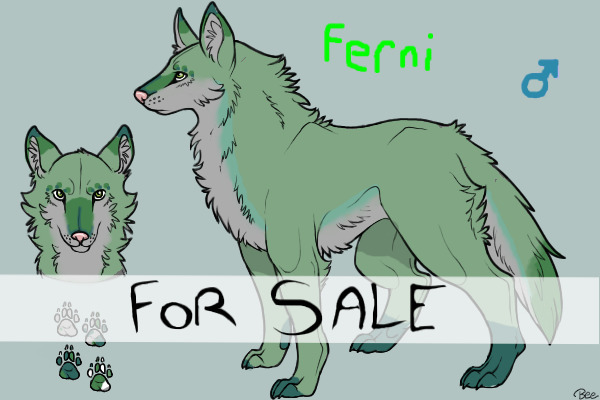Ferni the wolf, for sale, price negotiable