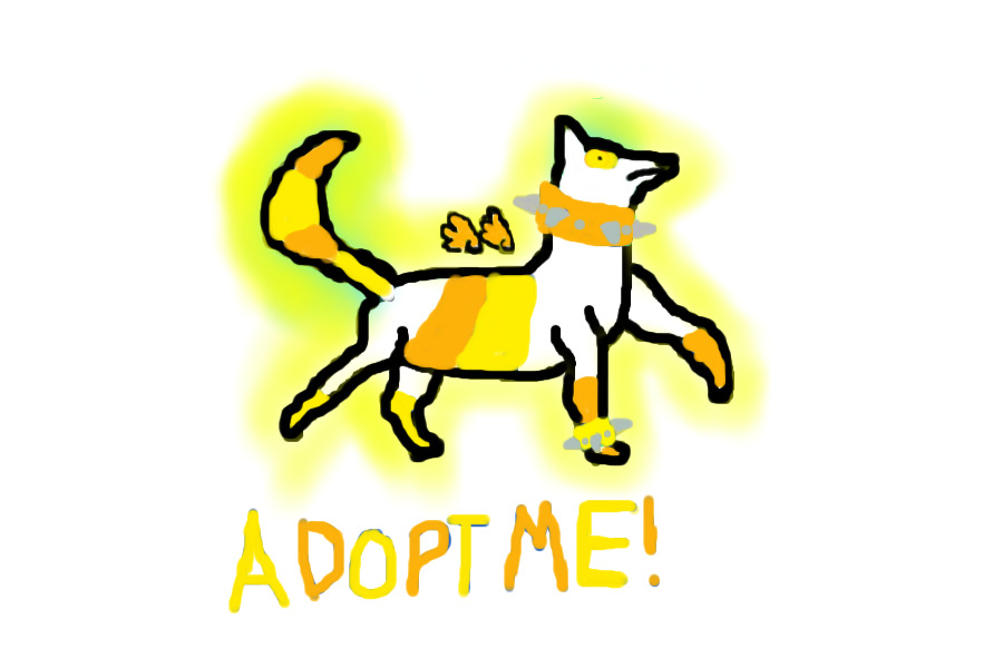 The Spike Adoptions #2 - Orange & Yellow