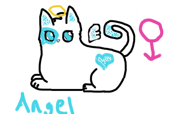 Angel, Not currently adoptable