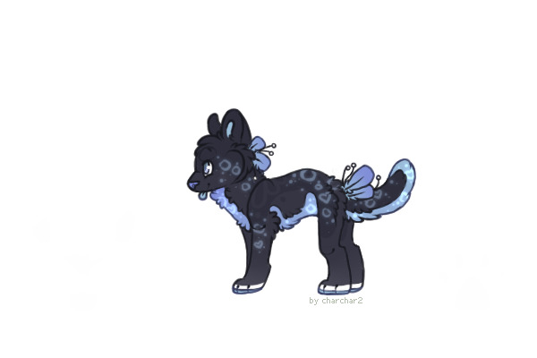 Judie Transparent Ref