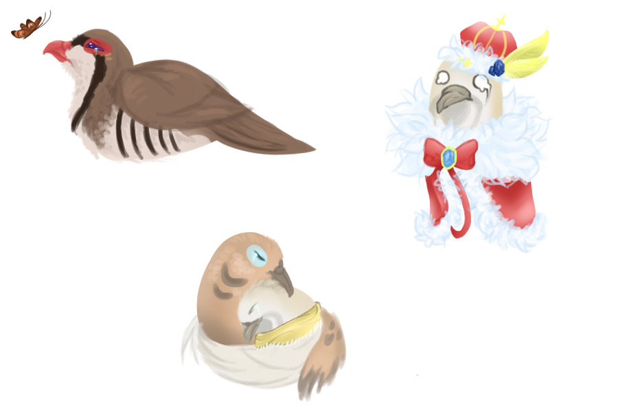 back at it again with the sad bird boyfriends