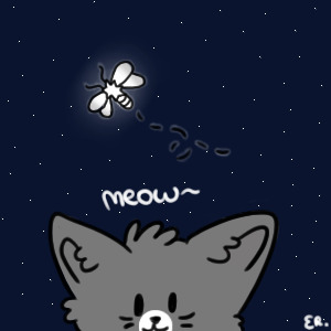 Night Kitty