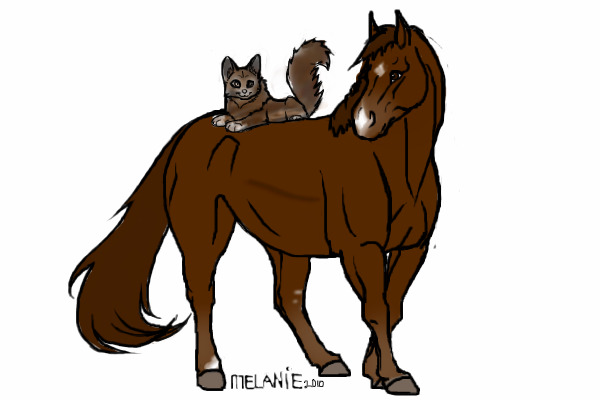 Jazz and taz