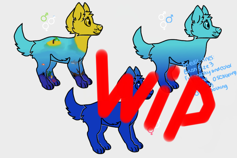 adoptabke water dogs preview