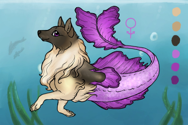 Aquarius Wolves Summer Event - #1 - DarkestWerewolf