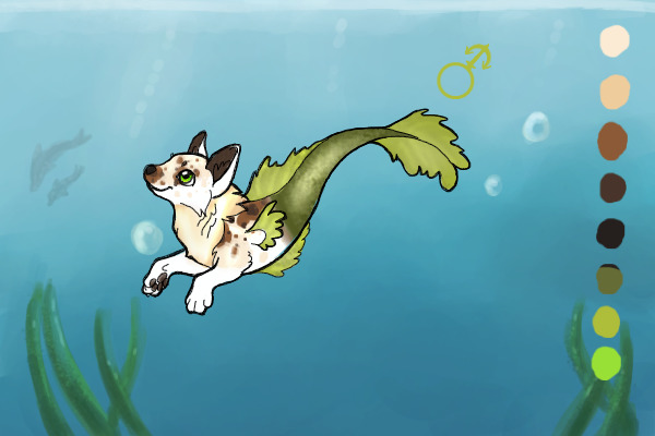 Aquarius Wolves Summer Event - #2 - jetred