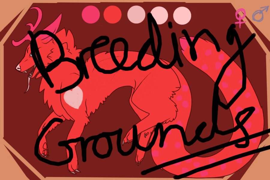 Canis Cervid - Breeding Grounds!