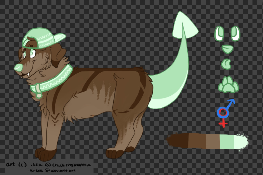 SnapBAK #1 - Winner!