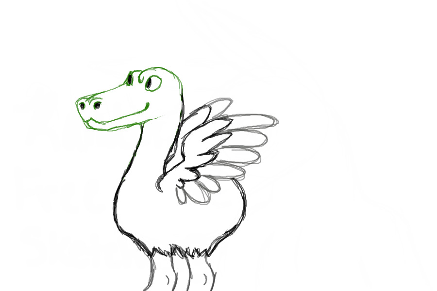 An Ostrich-Aligator
