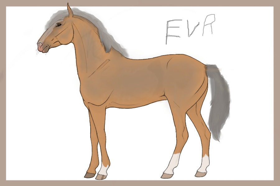 Some horse thing