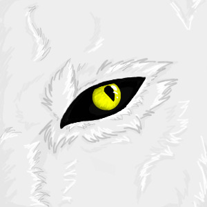 wolf eye