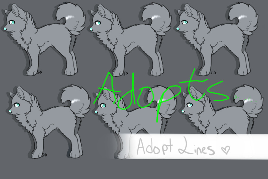 Wolfy's adopts