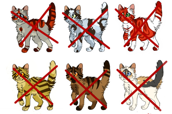 Cat Adoptables for Sale! [CLOSED](0/6 left)
