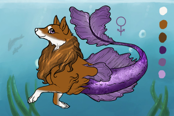 Aquarius Wolves Summer Event - #5 - ola232