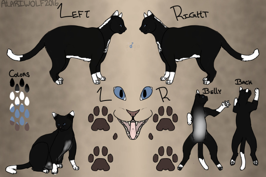 Reference Pic warrior cat.