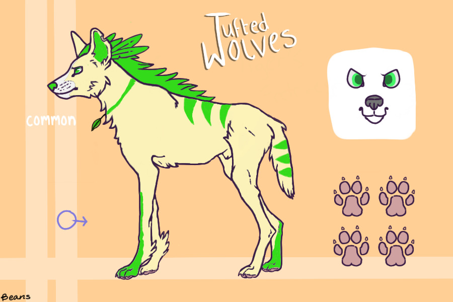 Tufted Wolves Entry #1