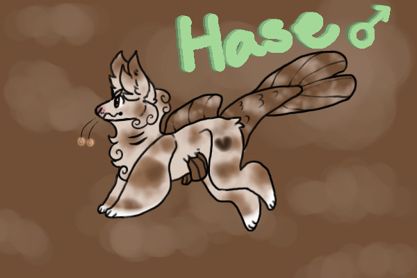 hase. [don't post.]