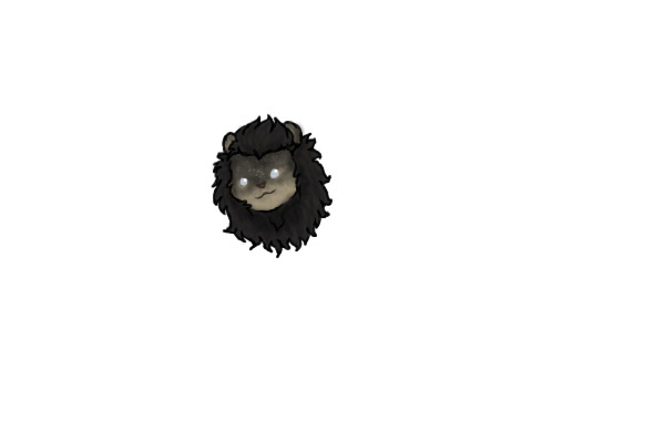 Shohamu fluffy